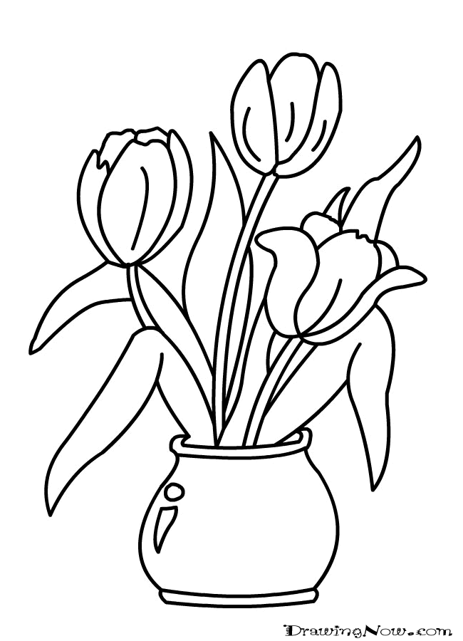Tulip Pictures To Print Coloring Home
