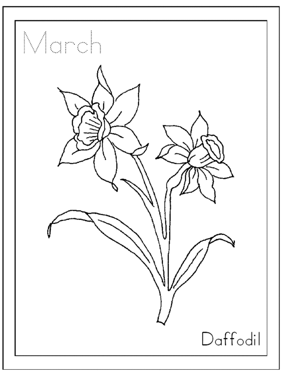Daffodils Coloring Pages Coloring Home