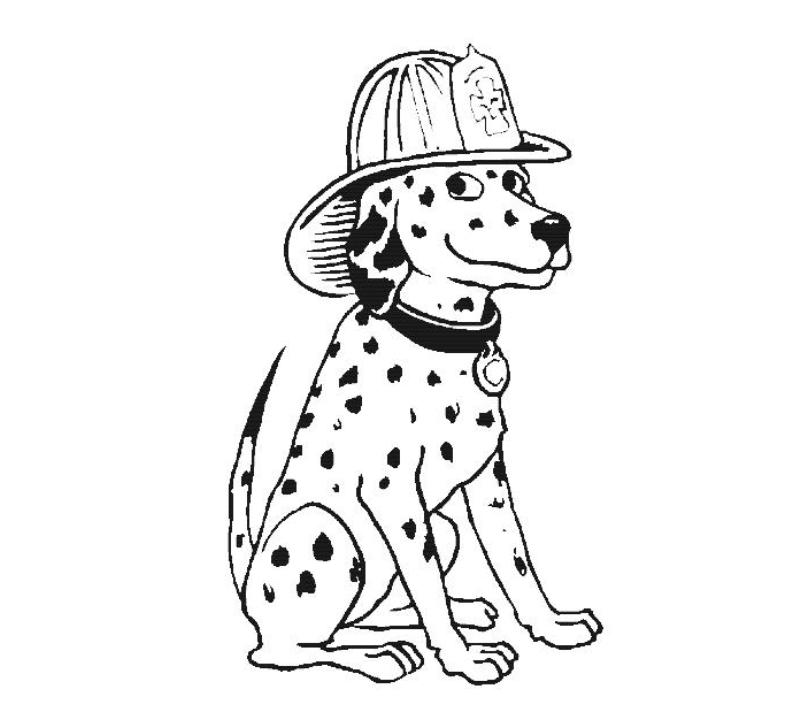 Paw Patrol Dalmation Coloring Pages Coloring Pages
