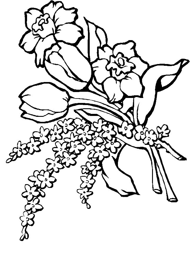 May Flowers Coloring Sheet Coloring Pages