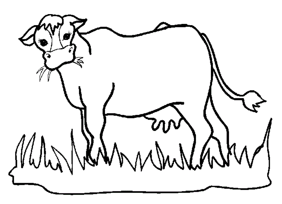 Printable Cow Pictures - Coloring Home