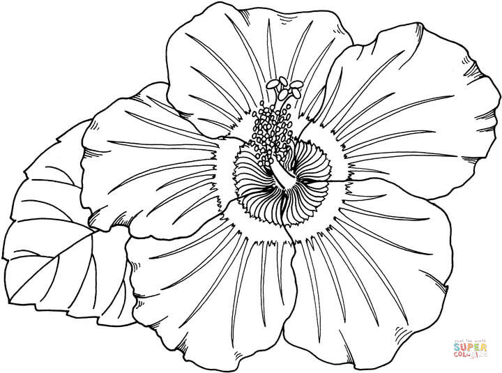 Crafts Tropical Hibiscus Bouquet Craft Coloring Pages