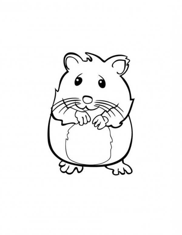 Guinea Pig Coloring Pages Coloring Home