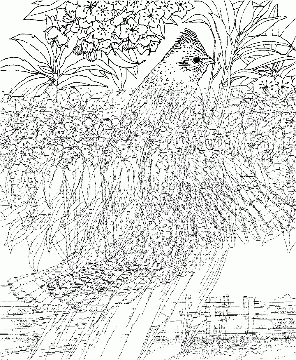 Challenging Coloring Pages For Kids Coloring Home