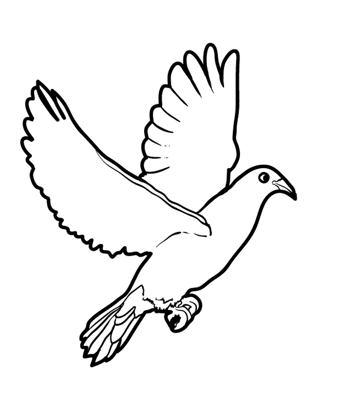 Free Dove Coloring Page Coloring Home