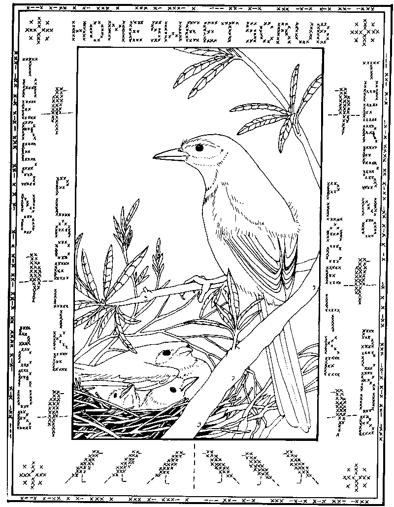 Florida Scrub Coloring Book Contents, Archbold Biological Station