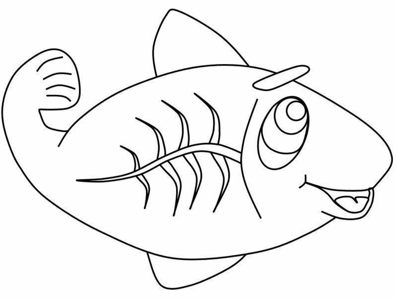 X Ray Coloring Pages Coloring Home