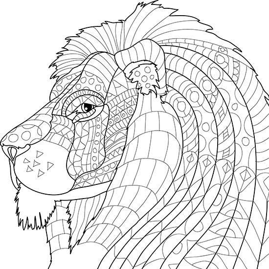 Adult Animals Coloring Pages Coloring Home