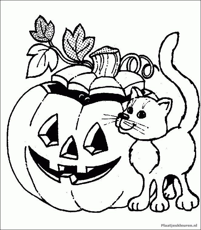 Coloring for Kids – Smart, Creative, and Fun