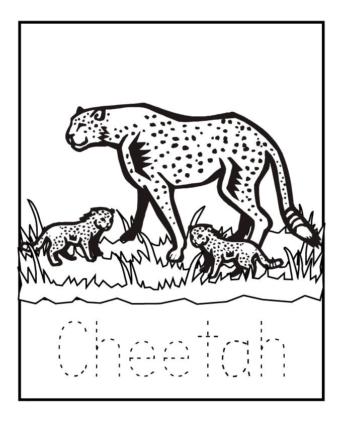 Cheetah Coloring Pages To Print Coloring Home