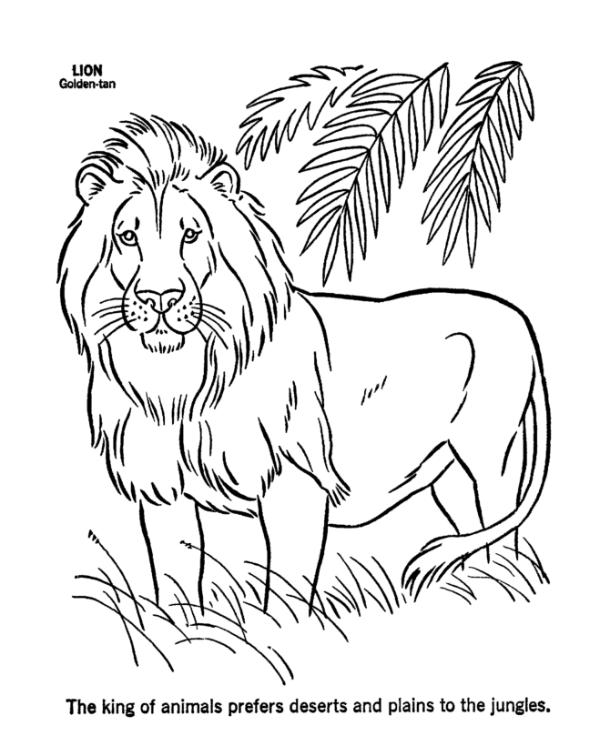 Coloring Pages Lions Coloring Home
