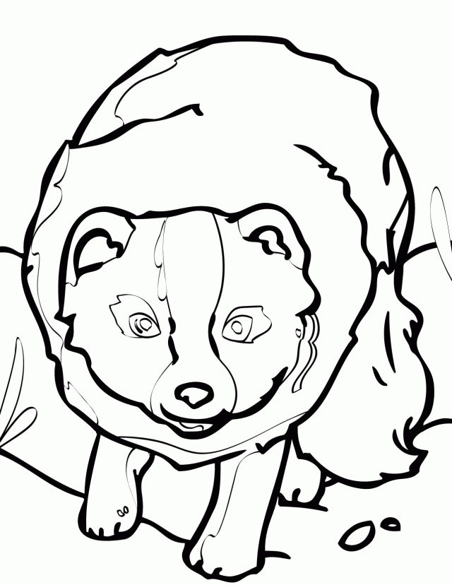 Arctic Fox Coloring Pages Coloring Home