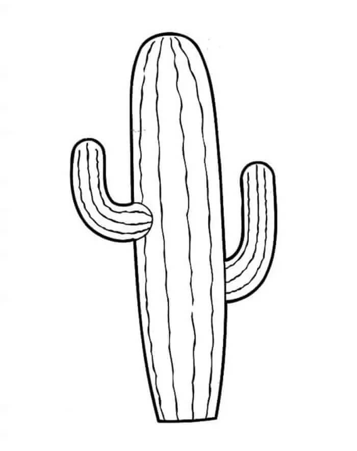 Printable Cactus coloring page Download, Print or Color Online for Free