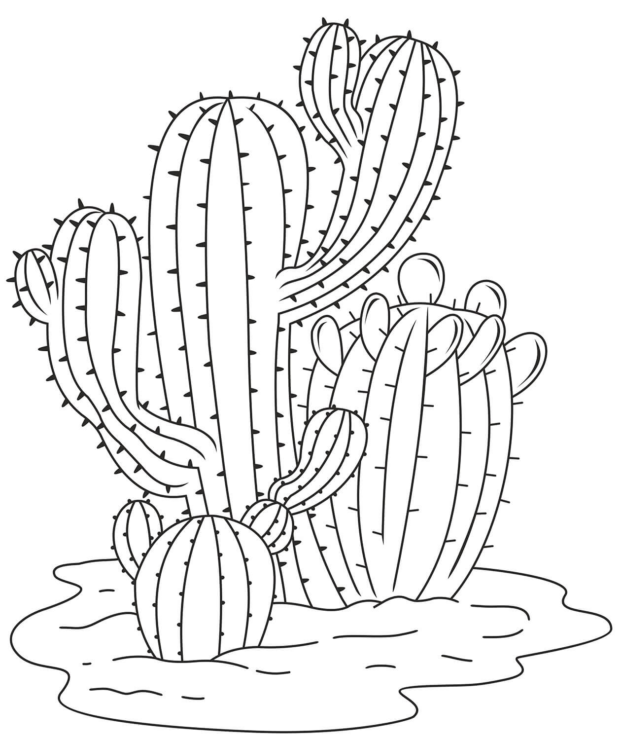Simple Cactus coloring page Download, Print or Color Online for Free