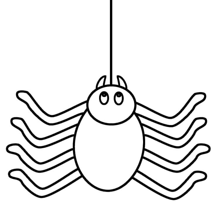 Spider Climbing coloring page - Download, Print or Color Online for Free