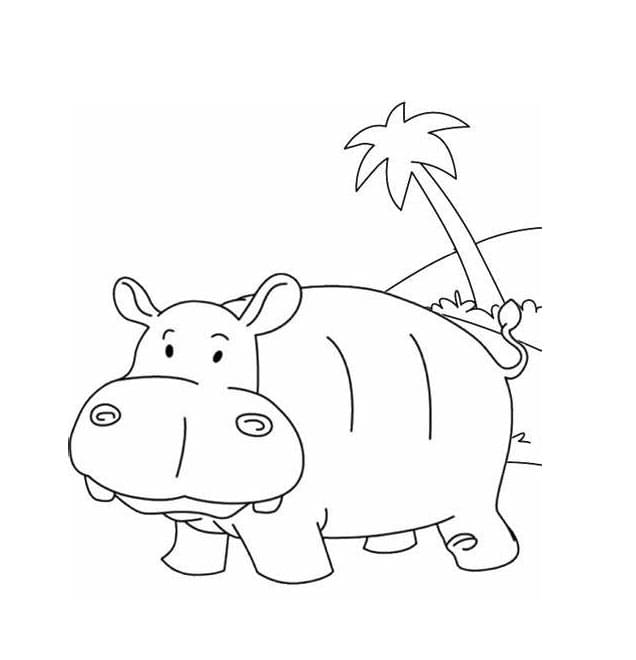 Free Hippo Outline coloring page Download, Print or Color Online for Free