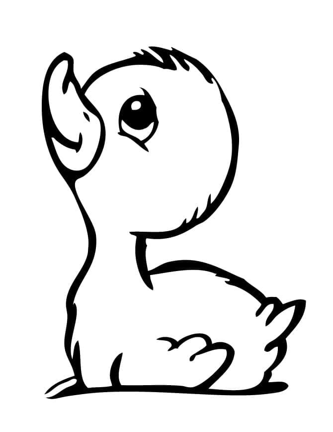 Duckling coloring pages ColoringLib