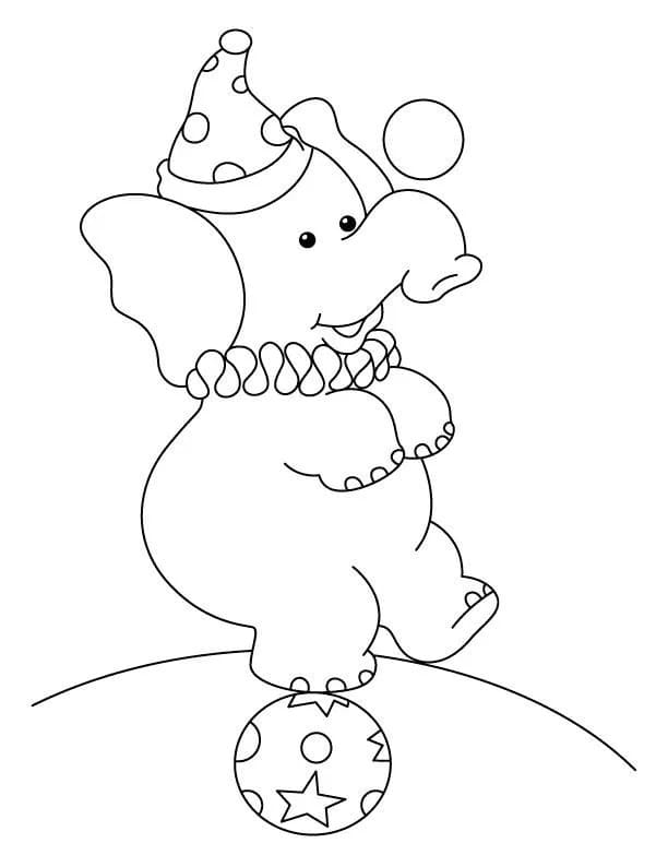 Circus Elephant Coloring Page