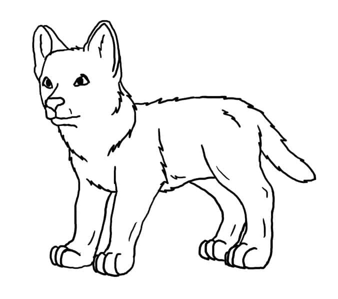 Cute Wolf coloring page Download, Print or Color Online for Free