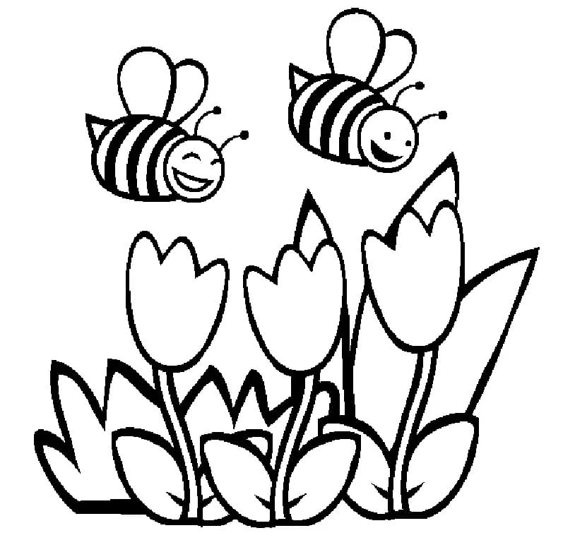 Bee coloring pages ColoringLib