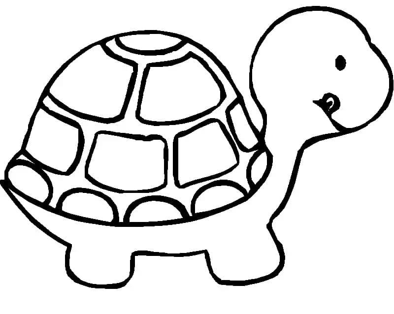 A Cute Turtle coloring page Download, Print or Color Online for Free