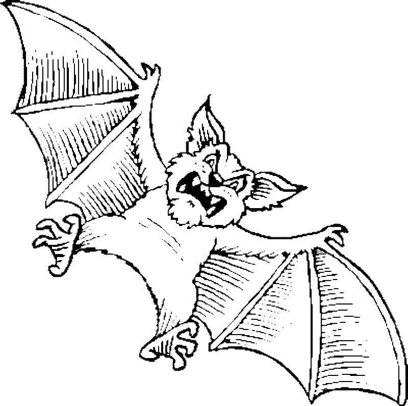 Bat coloring pages ColoringLib