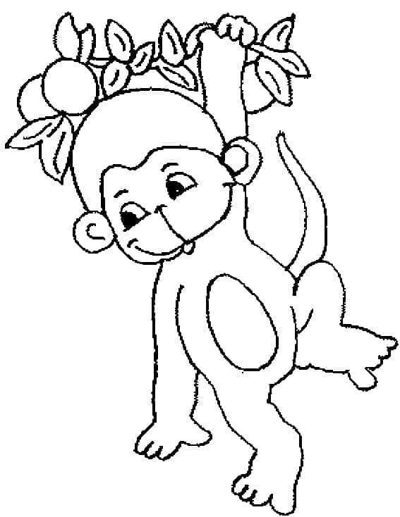 Baby Monkey coloring page Download, Print or Color Online for Free