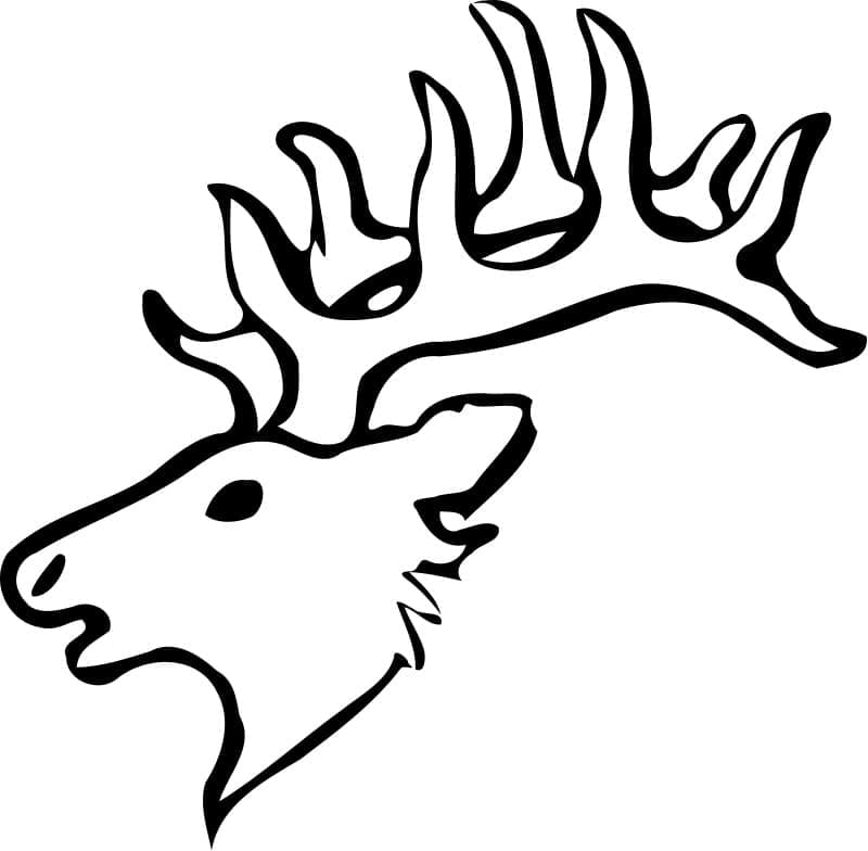 Deer Head coloring page Download, Print or Color Online for Free