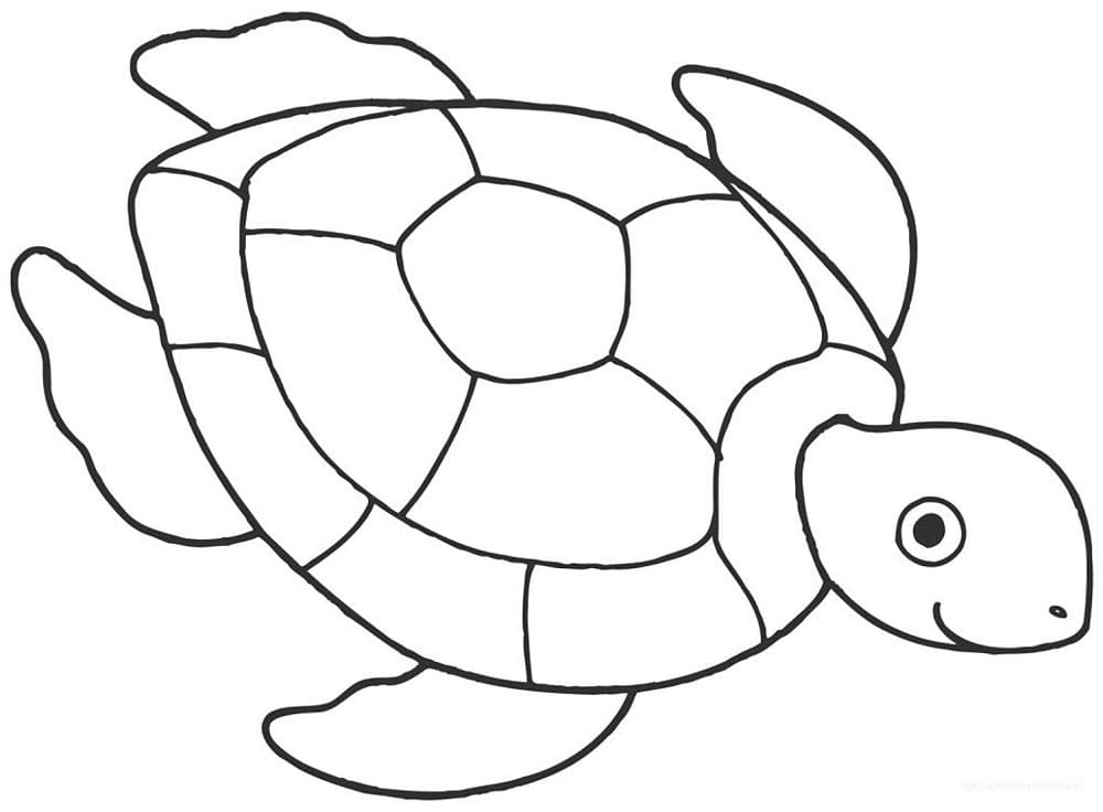 Easy Sea Turtle coloring page Download, Print or Color Online for Free