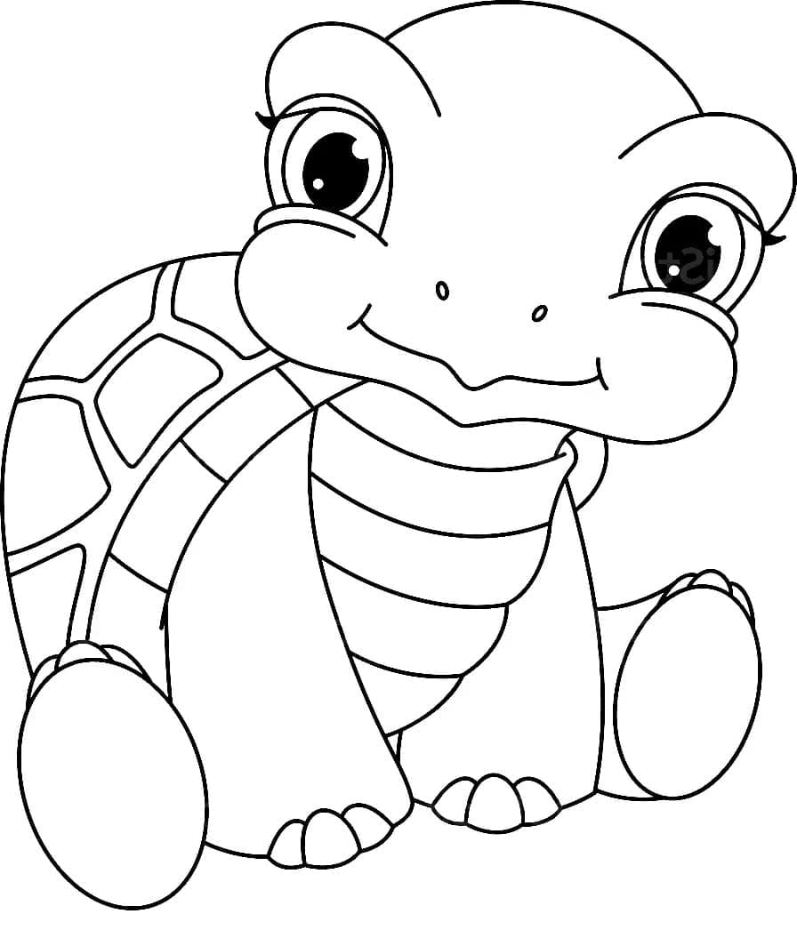 Baby Turtle Coloring