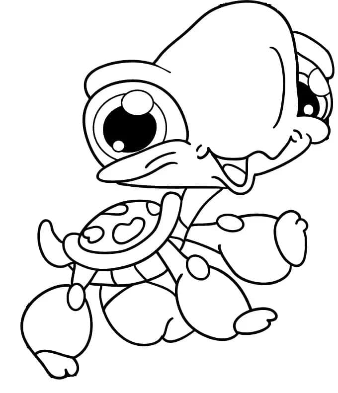 Printable Cute Turtle coloring page Download, Print or Color Online