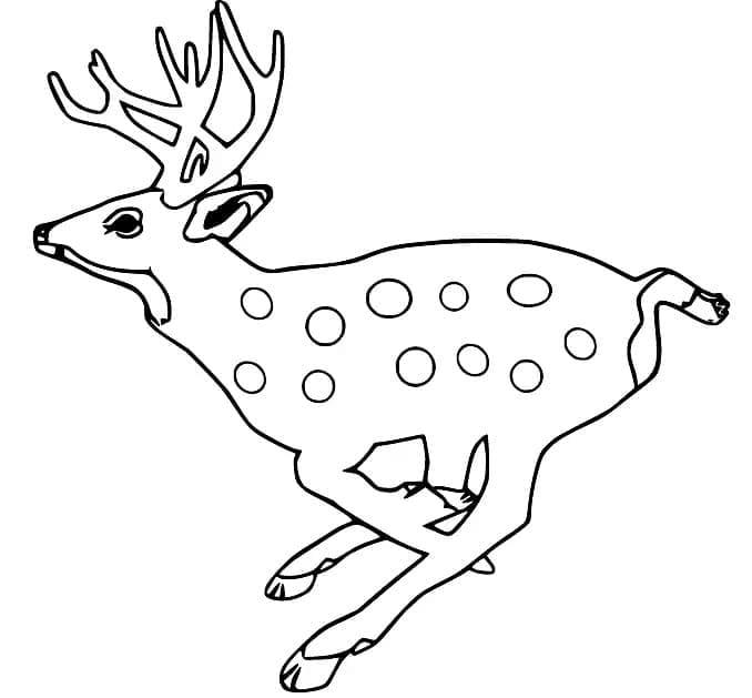 Running Deer coloring page Download, Print or Color Online for Free