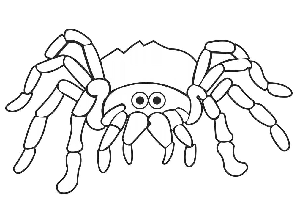 Spider Printable coloring page - Download, Print or Color Online for Free