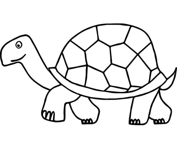 Turtle coloring pages ColoringLib