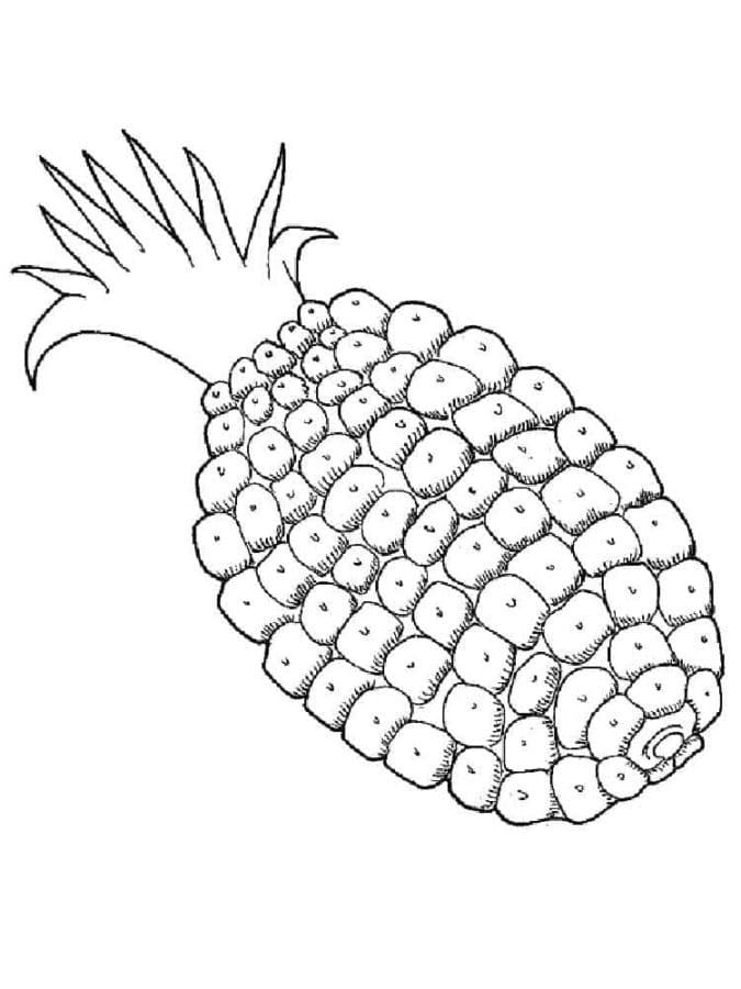 Pineapple Printable coloring page - Download, Print or Color Online for