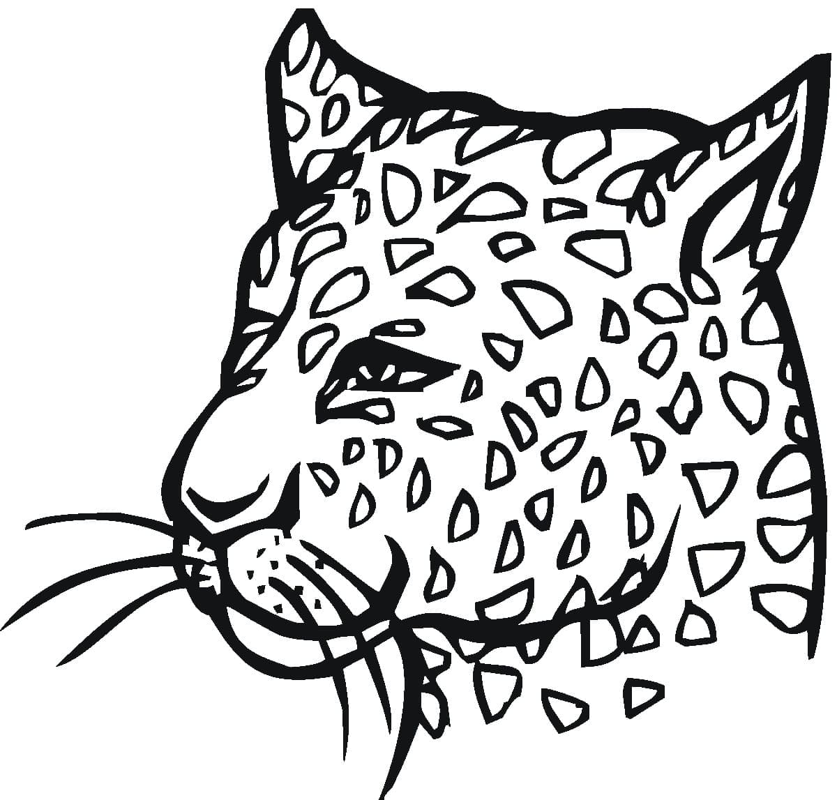 A Cheetah Face coloring page Download, Print or Color Online for Free