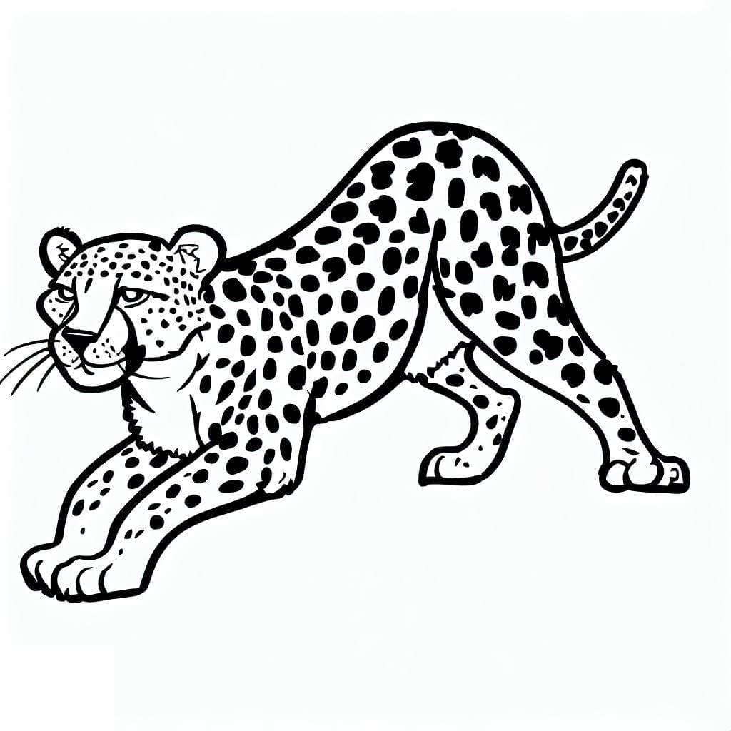 Cheetah Free coloring page Download, Print or Color Online for Free
