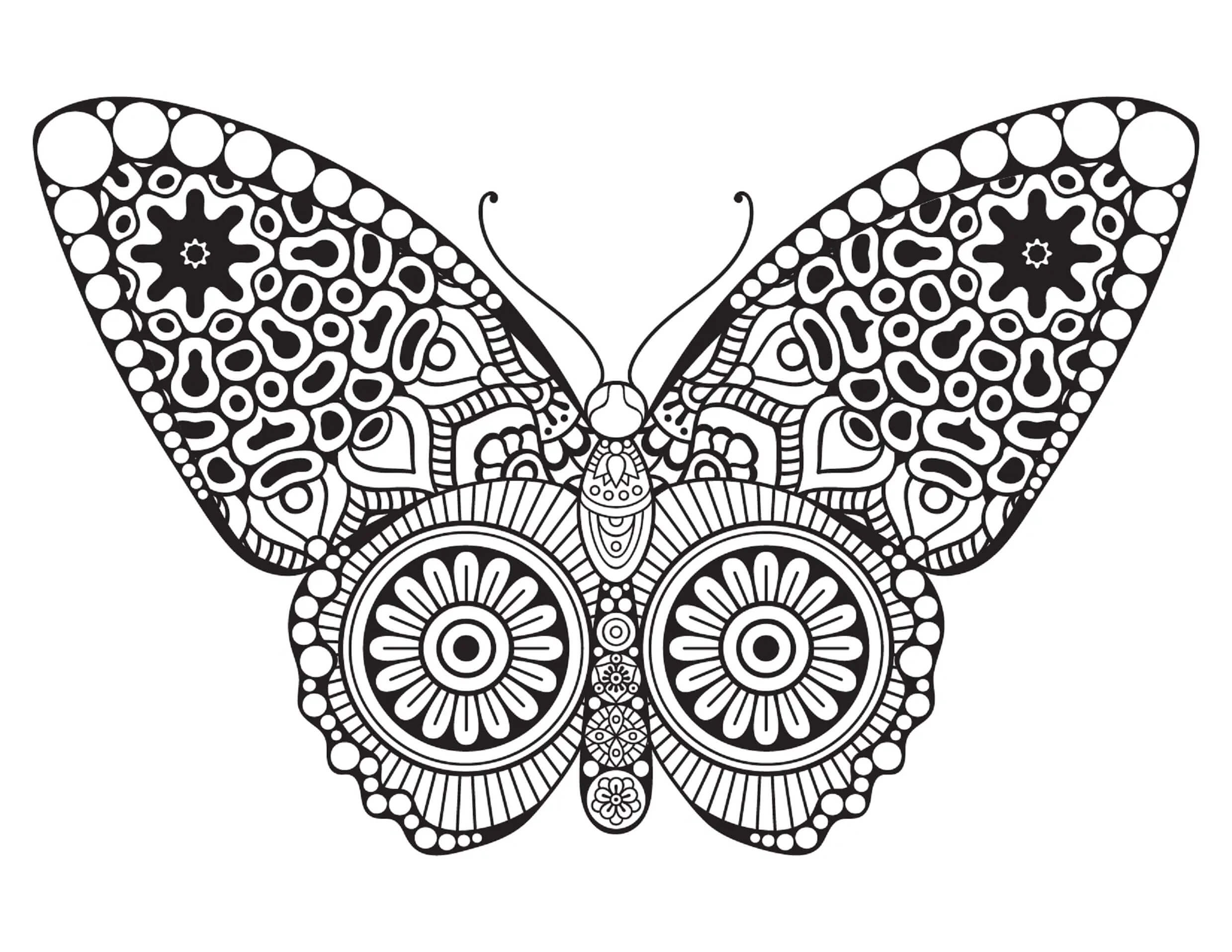Butterfly Mandala coloring pages ColoringLib