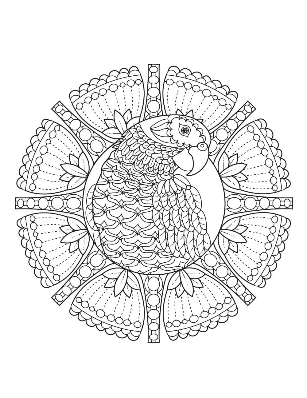 Birds Mandala coloring pages ColoringLib