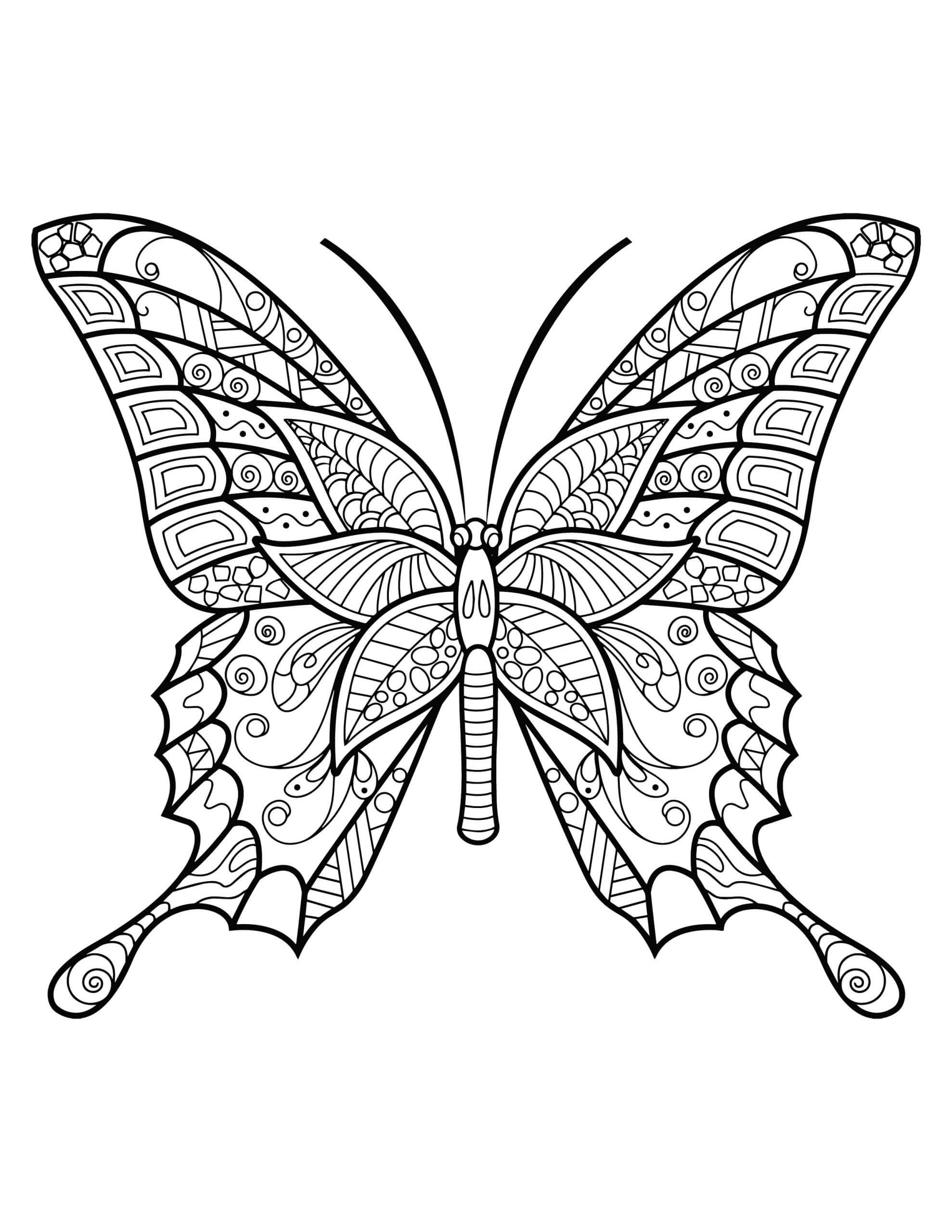 Simple Butterfly Mandala coloring page Download, Print or Color