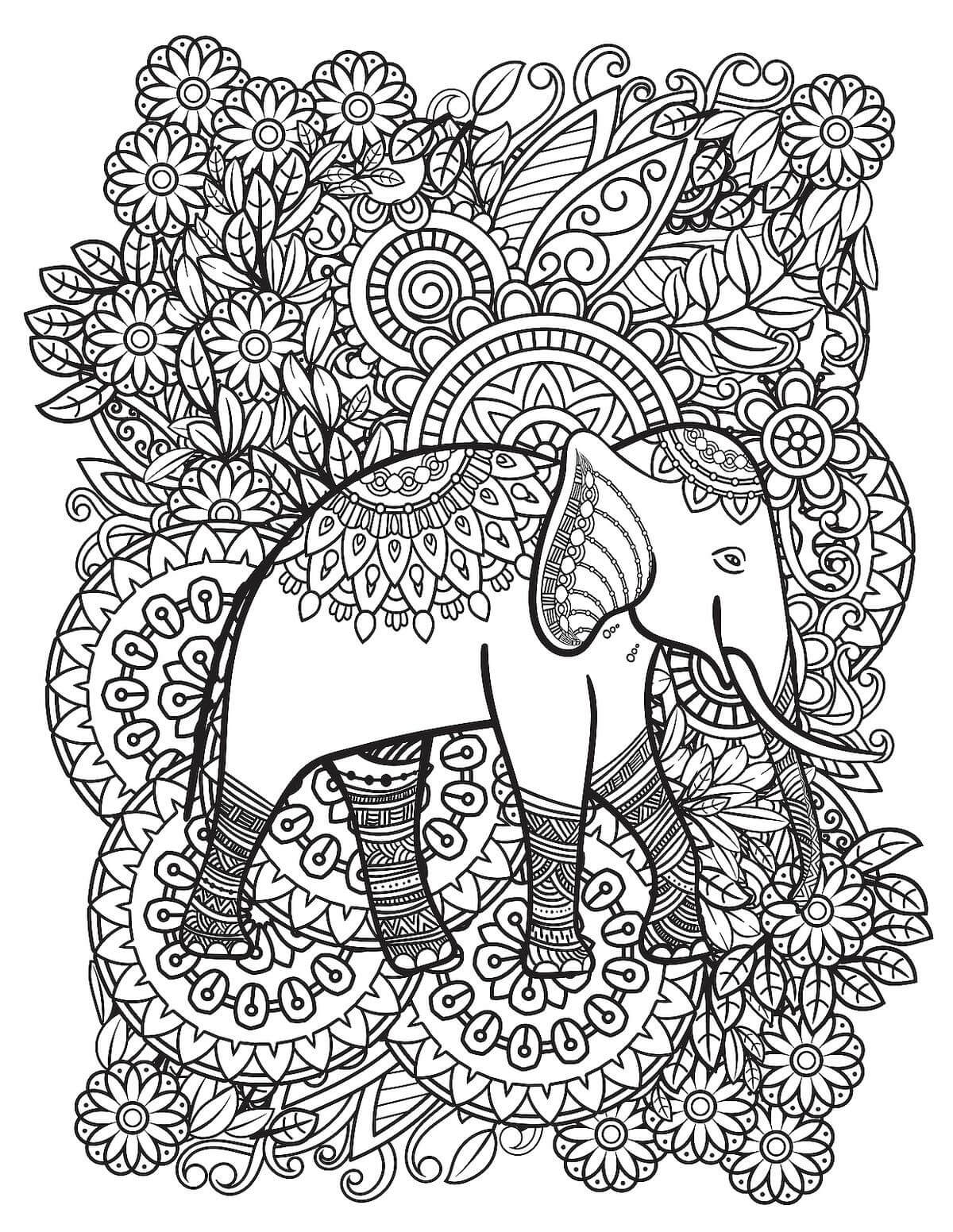Elephant Mandala coloring pages ColoringLib