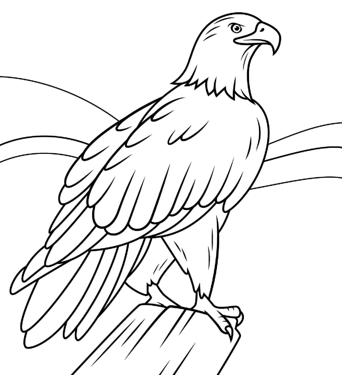 Cute Eagle coloring page Download, Print or Color Online for Free