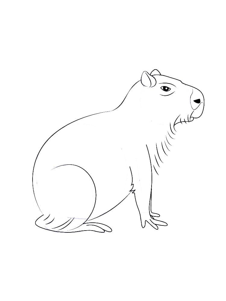 Easy Capybara coloring page Download, Print or Color Online for Free