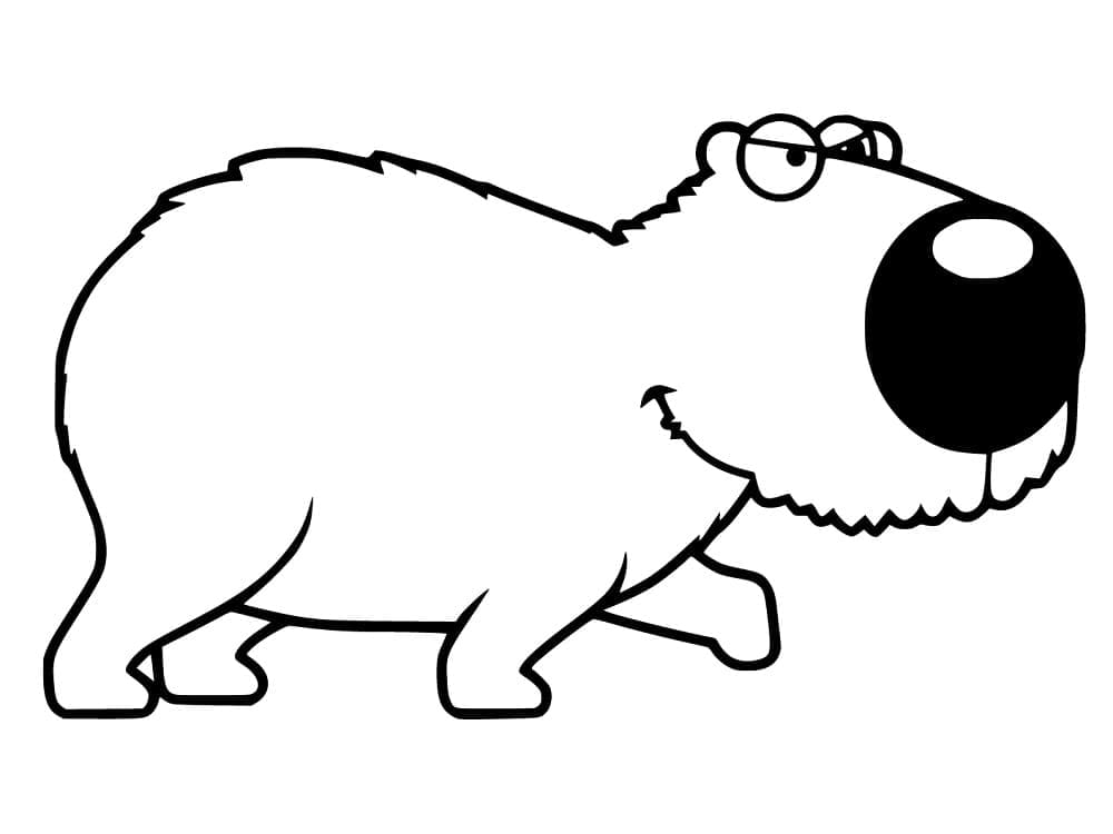Funny Capybara coloring page Download, Print or Color Online for Free