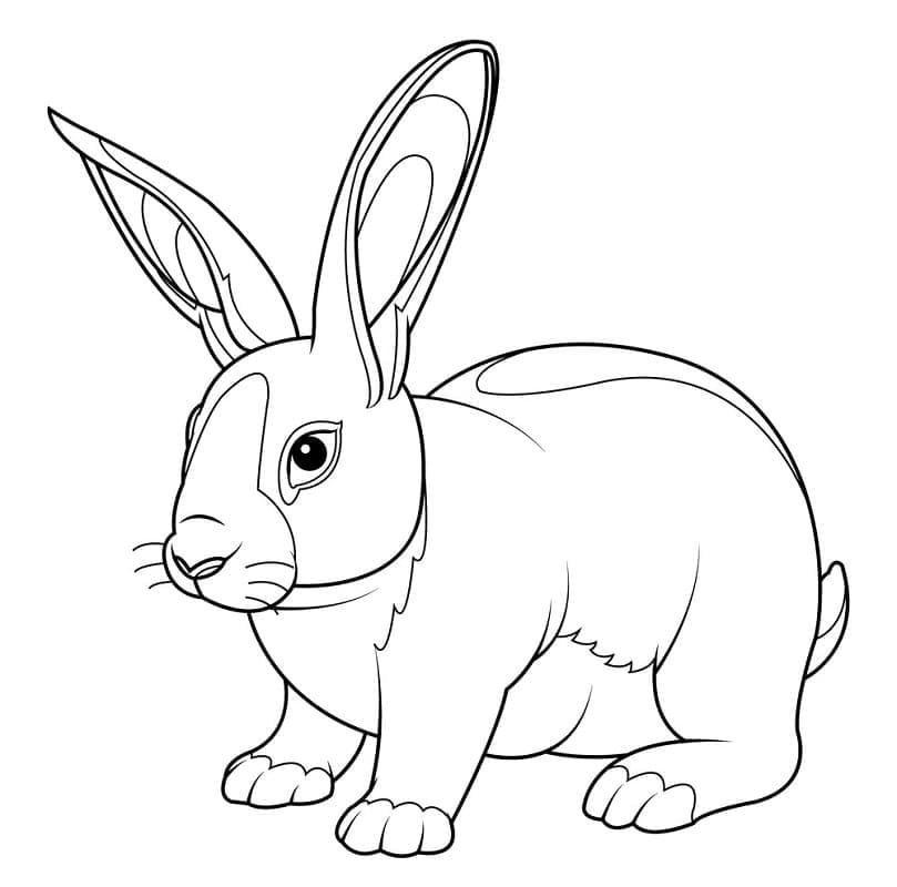 Print Rabbit coloring page Download, Print or Color Online for Free