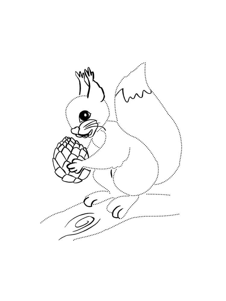 Flying Squirrel Coloring Pages