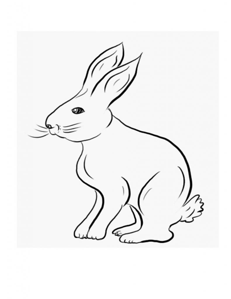 White Rabbit coloring page Download, Print or Color Online for Free