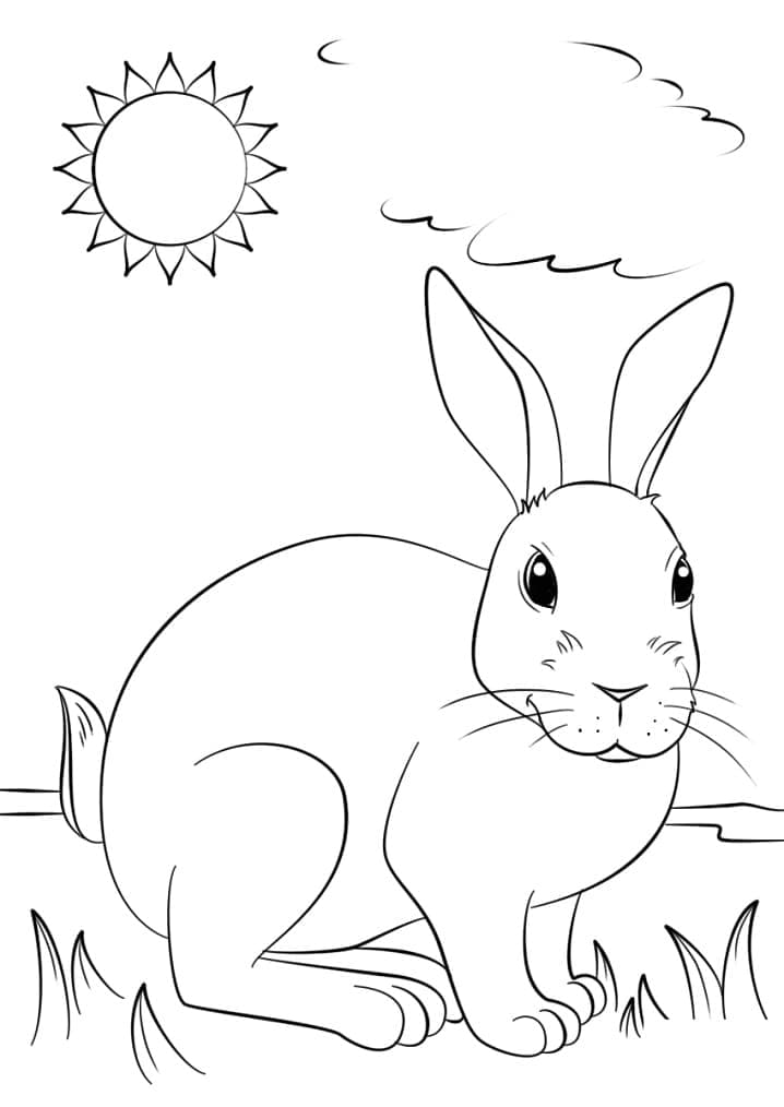 Wild Rabbit coloring page Download, Print or Color Online for Free