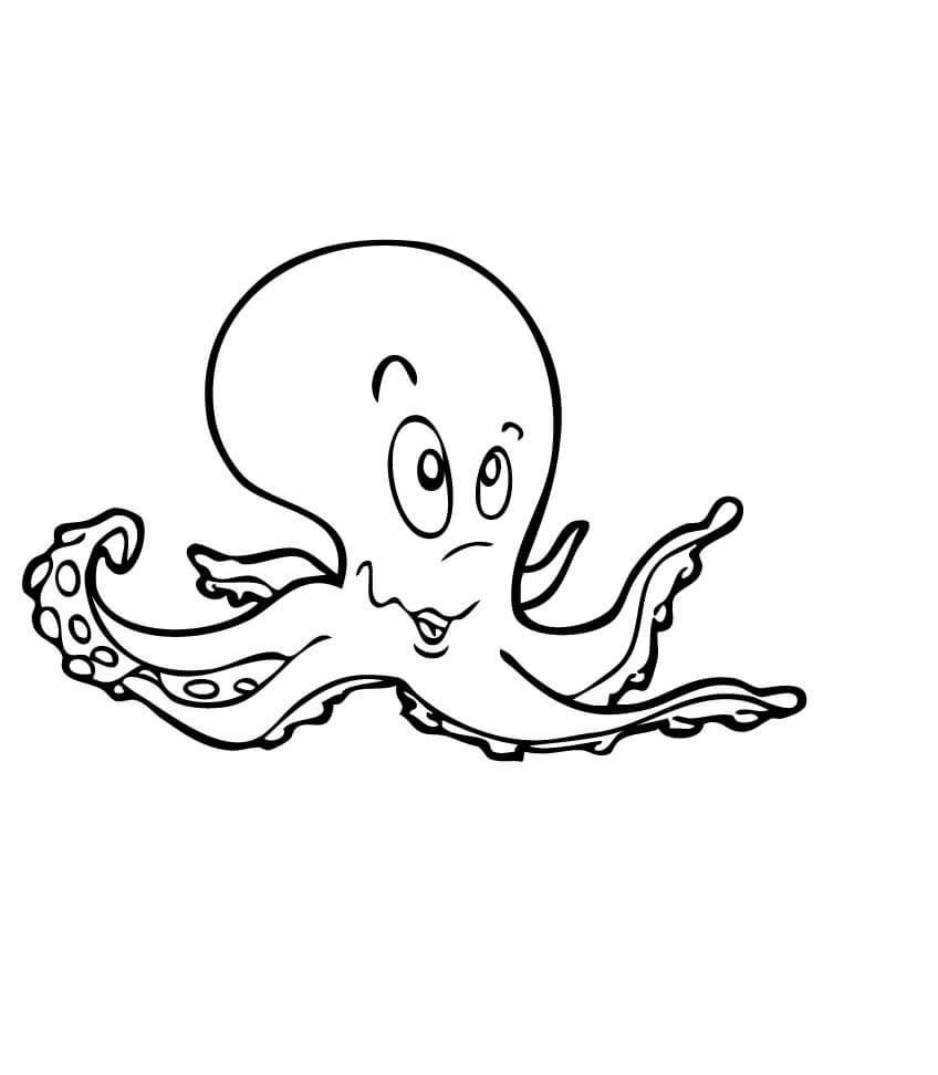 Beautiful Octopus coloring page Download, Print or Color Online for Free