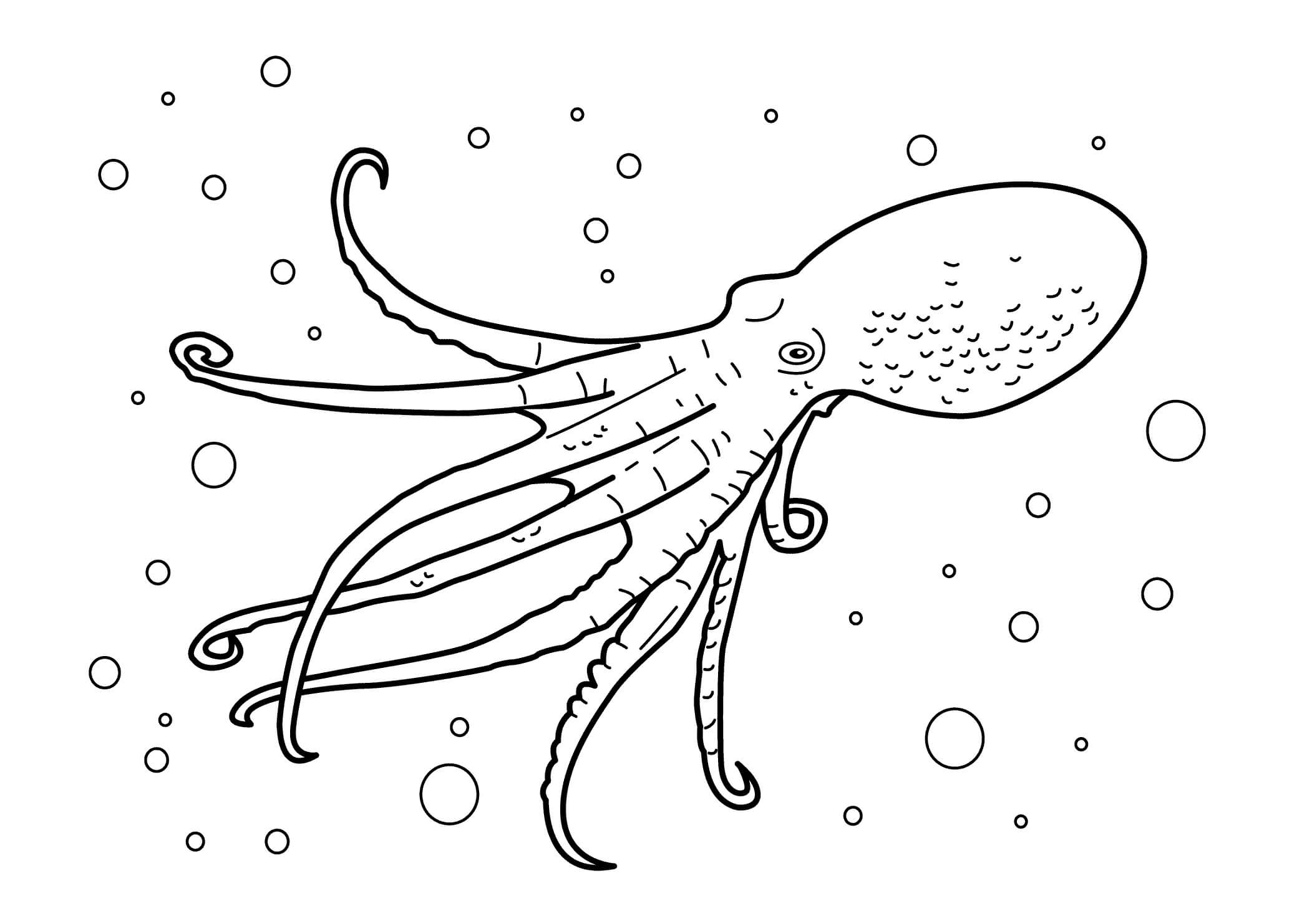 Octopus 1 coloring page Download, Print or Color Online for Free